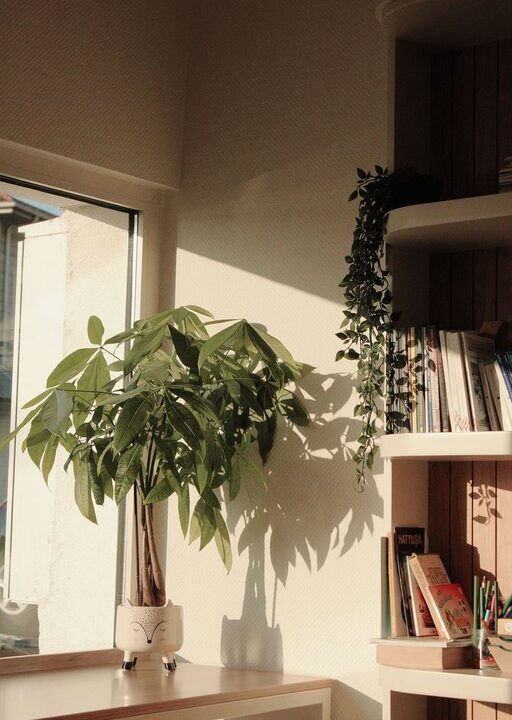 Come creare un angolo lettura accogliente a casa